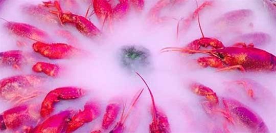 如何選擇山西高純氣體管道配管及附件材料？